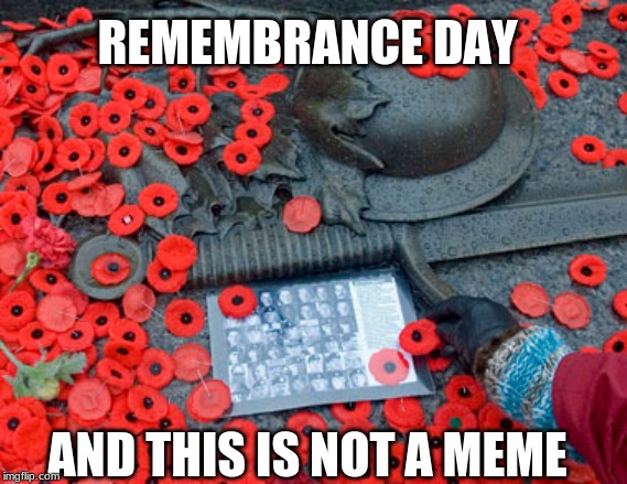 Remembrance Day | REMEMBRANCE DAY; AND THIS IS NOT A MEME | image tagged in remember | made w/ Imgflip meme maker