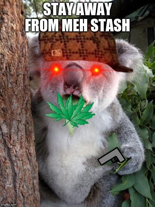 Surprised Koala Meme | STAY AWAY FROM MEH STASH | image tagged in memes,surprised koala | made w/ Imgflip meme maker