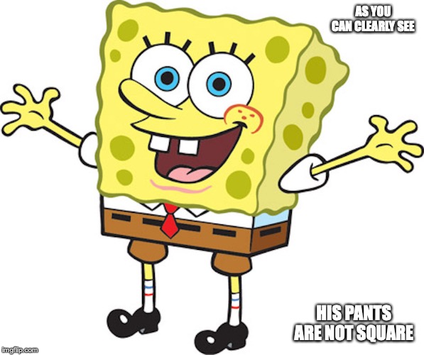 SpongeBob | AS YOU CAN CLEARLY SEE; HIS PANTS ARE NOT SQUARE | image tagged in spongebob squarepants,memes | made w/ Imgflip meme maker