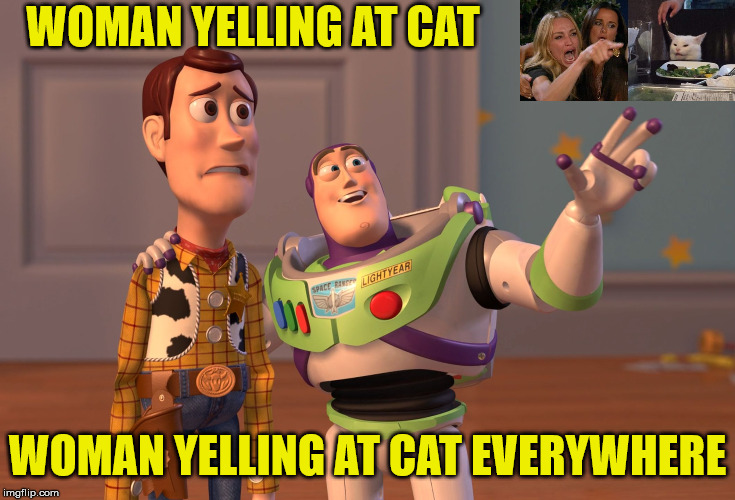 X, X Everywhere | WOMAN YELLING AT CAT; WOMAN YELLING AT CAT EVERYWHERE | image tagged in memes,x x everywhere,woman yelling at cat,buzz and woody | made w/ Imgflip meme maker