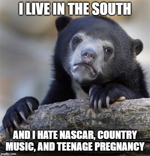 Confession Bear Meme | I LIVE IN THE SOUTH; AND I HATE NASCAR, COUNTRY MUSIC, AND TEENAGE PREGNANCY | image tagged in memes,confession bear | made w/ Imgflip meme maker
