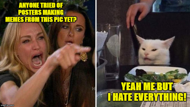 Women yelling at cat | ANYONE TRIED OF POSTERS MAKING MEMES FROM THIS PIC YET? YEAH ME BUT I HATE EVERYTHING! | image tagged in women yelling at cat | made w/ Imgflip meme maker