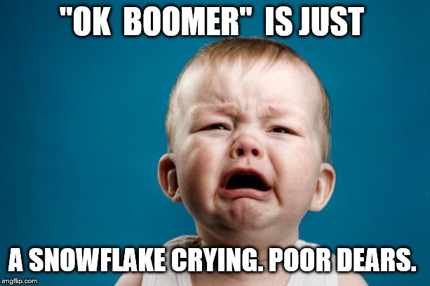 BABY CRYING | "OK  BOOMER"  IS JUST; A SNOWFLAKE CRYING. POOR DEARS. | image tagged in baby crying | made w/ Imgflip meme maker