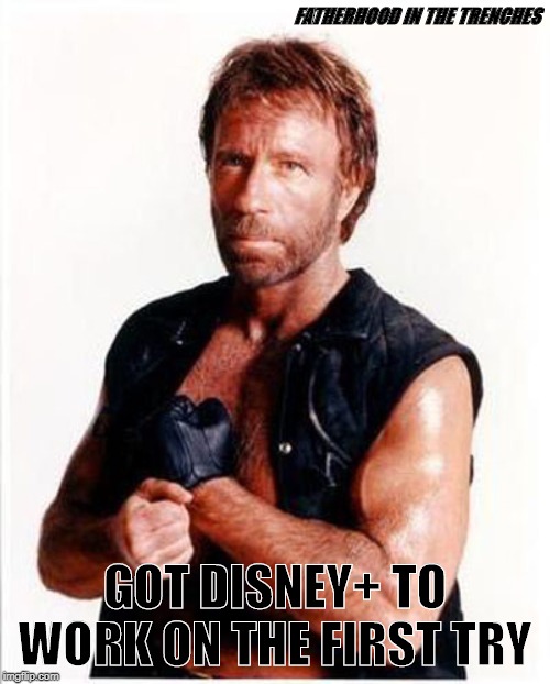 More Human Than Human | FATHERHOOD IN THE TRENCHES; GOT DISNEY+ TO WORK ON THE FIRST TRY | image tagged in disney,chuck norris,disney plus | made w/ Imgflip meme maker