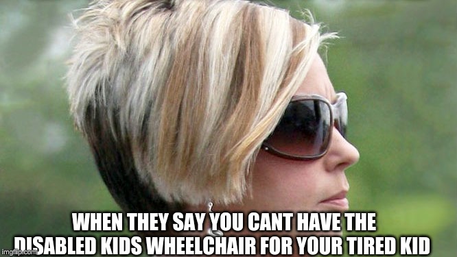 Karen | WHEN THEY SAY YOU CANT HAVE THE DISABLED KIDS WHEELCHAIR FOR YOUR TIRED KID | image tagged in karen | made w/ Imgflip meme maker