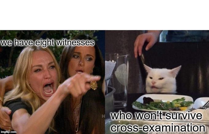 Woman Yelling At Cat Meme | we have eight witnesses who won't survive cross-examination | image tagged in memes,woman yelling at cat | made w/ Imgflip meme maker