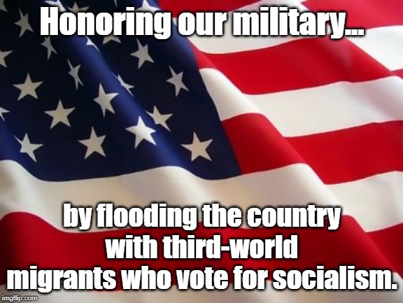 No longer free, because we're no longer brave. | Honoring our military... by flooding the country with third-world migrants who vote for socialism. | image tagged in american flag,third world,communist socialist,white genocide,traitors | made w/ Imgflip meme maker