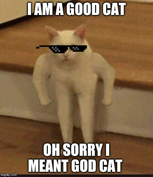 god cat | I AM A GOOD CAT; OH SORRY I MEANT GOD CAT | image tagged in cat | made w/ Imgflip meme maker