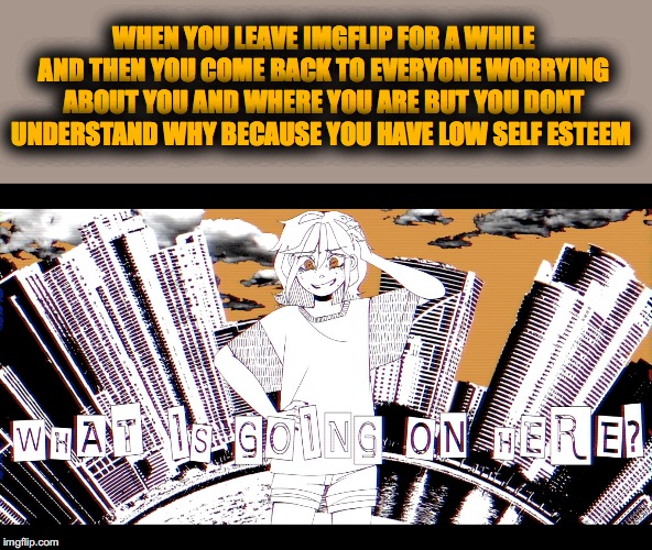 What is going on here | WHEN YOU LEAVE IMGFLIP FOR A WHILE AND THEN YOU COME BACK TO EVERYONE WORRYING ABOUT YOU AND WHERE YOU ARE BUT YOU DONT UNDERSTAND WHY BECAUSE YOU HAVE LOW SELF ESTEEM | image tagged in what is going on here | made w/ Imgflip meme maker