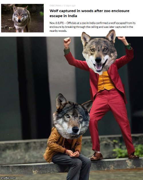 Sad Wolfy. | image tagged in sad,memes | made w/ Imgflip meme maker