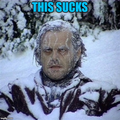 Frozen Guy | THIS SUCKS | image tagged in frozen guy | made w/ Imgflip meme maker
