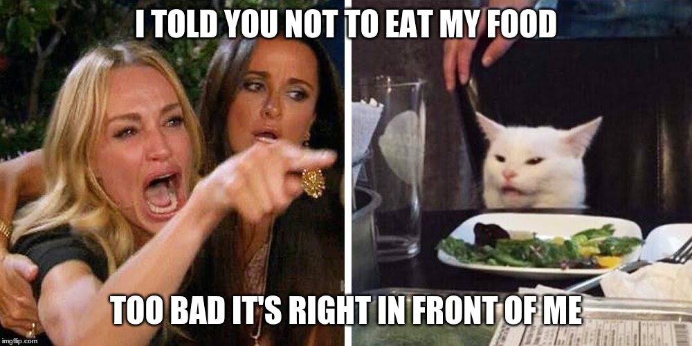 Smudge the cat | I TOLD YOU NOT TO EAT MY FOOD; TOO BAD IT'S RIGHT IN FRONT OF ME | image tagged in smudge the cat | made w/ Imgflip meme maker