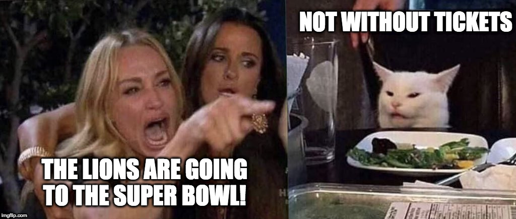 woman yelling at cat | NOT WITHOUT TICKETS; THE LIONS ARE GOING
TO THE SUPER BOWL! | image tagged in woman yelling at cat | made w/ Imgflip meme maker