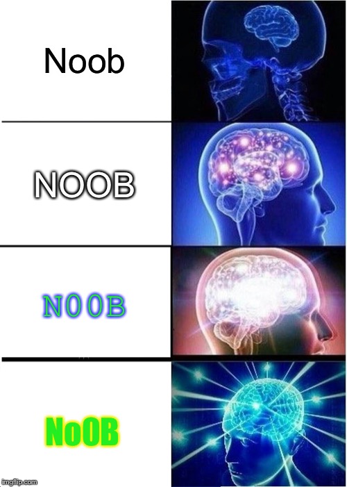 Expanding Brain | Noob; NOOB; N00B; No0B | image tagged in memes,expanding brain | made w/ Imgflip meme maker
