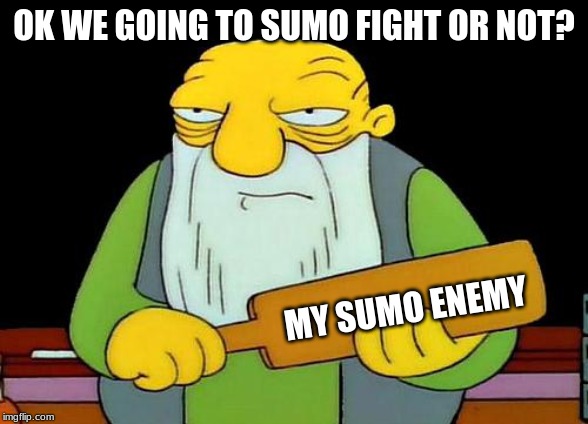 That's a paddlin' Meme | OK WE GOING TO SUMO FIGHT OR NOT? MY SUMO ENEMY | image tagged in memes,that's a paddlin' | made w/ Imgflip meme maker