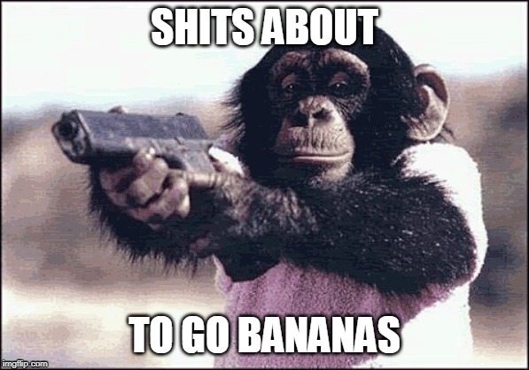 monkey | SHITS ABOUT; TO GO BANANAS | image tagged in monkey | made w/ Imgflip meme maker