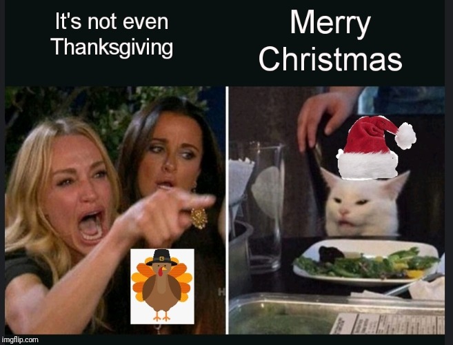 Not Christmas yet | image tagged in woman yelling at cat,woman yelling at a cat | made w/ Imgflip meme maker