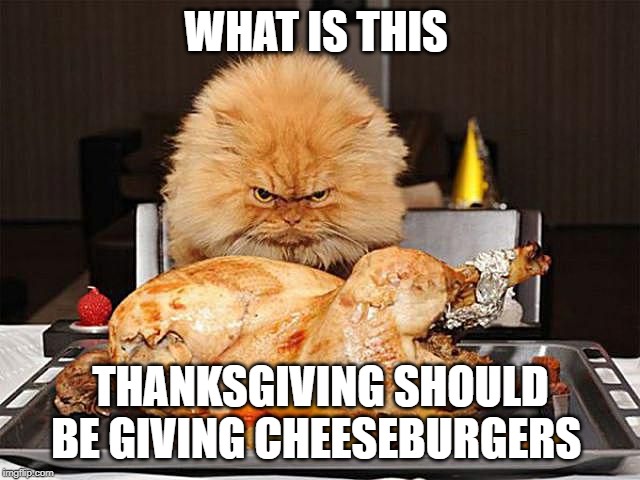 fat cat | WHAT IS THIS; THANKSGIVING SHOULD BE GIVING CHEESEBURGERS | image tagged in fat cat | made w/ Imgflip meme maker