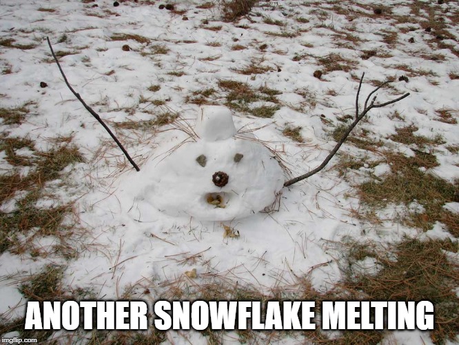 When someone calls me a Boomer | ANOTHER SNOWFLAKE MELTING | image tagged in melted snowman,boomer | made w/ Imgflip meme maker