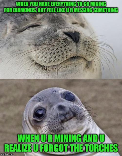 Short Satisfaction VS Truth | WHEN YOU HAVE EVERYTHING TO GO MINING FOR DIAMONDS, BUT FEEL LIKE U R MISSING SOMETHING; WHEN U R MINING AND U REALIZE U FORGOT THE TORCHES | image tagged in memes,short satisfaction vs truth | made w/ Imgflip meme maker