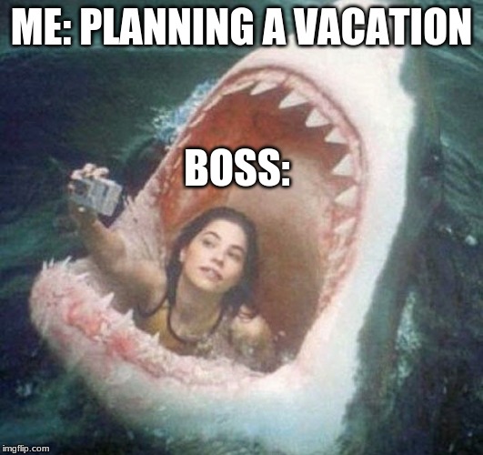 When your out of vacation days | ME: PLANNING A VACATION; BOSS: | image tagged in bad boss | made w/ Imgflip meme maker