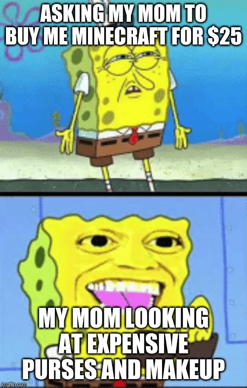 Spongebob money | ASKING MY MOM TO BUY ME MINECRAFT FOR $25; MY MOM LOOKING AT EXPENSIVE PURSES AND MAKEUP | image tagged in spongebob money | made w/ Imgflip meme maker