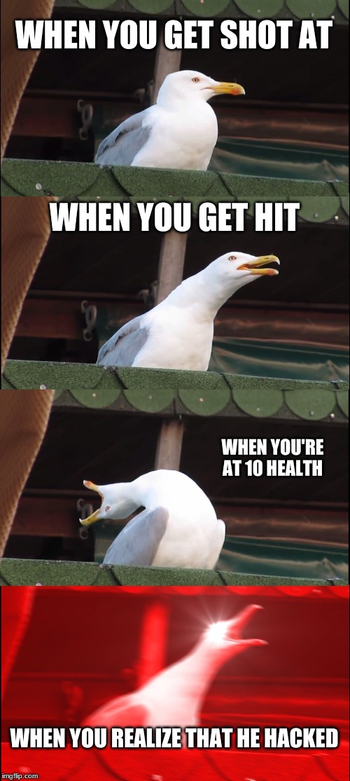 Inhaling Seagull | WHEN YOU GET SHOT AT; WHEN YOU GET HIT; WHEN YOU'RE AT 10 HEALTH; WHEN YOU REALIZE THAT HE HACKED | image tagged in memes,inhaling seagull | made w/ Imgflip meme maker