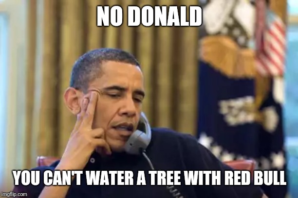 No I Can't Obama Meme | NO DONALD; YOU CAN'T WATER A TREE WITH RED BULL | image tagged in memes,no i cant obama | made w/ Imgflip meme maker