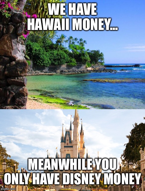 WE HAVE HAWAII MONEY... MEANWHILE YOU ONLY HAVE DISNEY MONEY | image tagged in hawaii,disney world | made w/ Imgflip meme maker