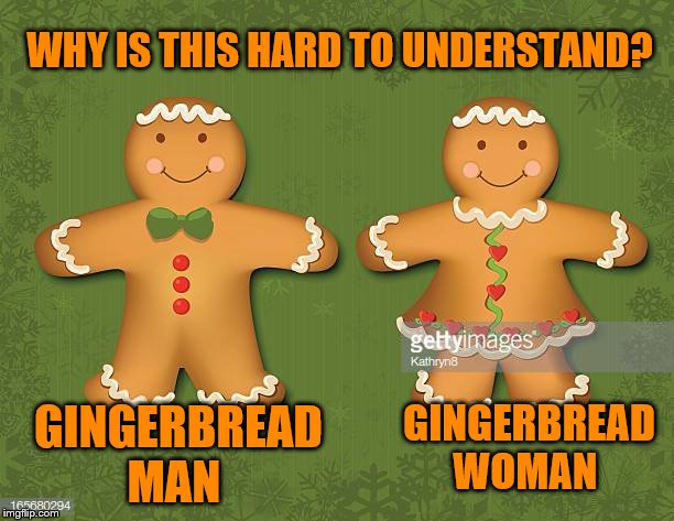 Gingerbread genders | WHY IS THIS HARD TO UNDERSTAND? GINGERBREAD WOMAN; GINGERBREAD MAN | image tagged in gingerbread genders | made w/ Imgflip meme maker