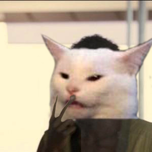Look At Me I Am The Cat Now Blank Meme Template