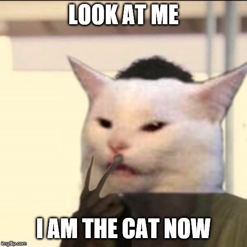 Look At Me I Am The Cat Now | LOOK AT ME; I AM THE CAT NOW | image tagged in look at me i am the cat now | made w/ Imgflip meme maker