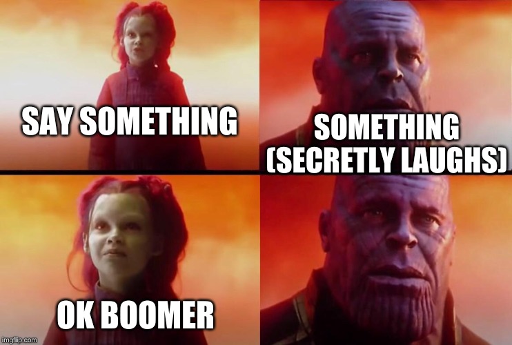 What did it cost? | SAY SOMETHING; SOMETHING (SECRETLY LAUGHS); OK BOOMER | image tagged in what did it cost | made w/ Imgflip meme maker