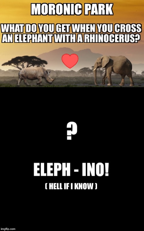 image tagged in elephant,rhinoceros,moronic park,eleph-ino | made w/ Imgflip meme maker