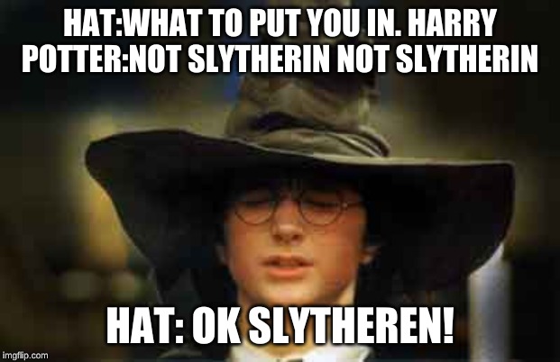 Harry Potter sorting hat | HAT:WHAT TO PUT YOU IN. HARRY POTTER:NOT SLYTHERIN NOT SLYTHERIN; HAT: OK SLYTHEREN! | image tagged in harry potter sorting hat | made w/ Imgflip meme maker
