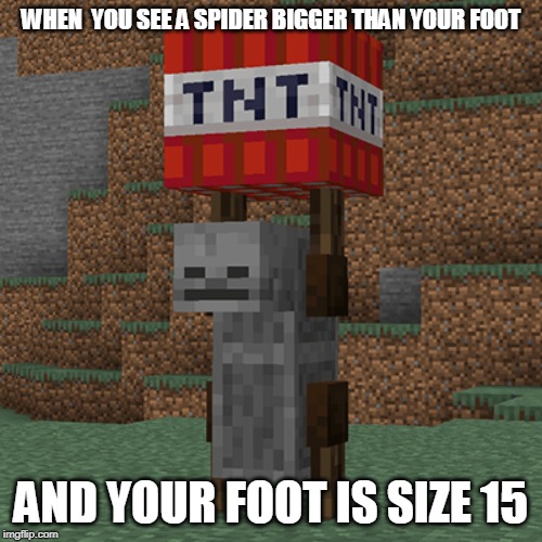Tnt yeeter | WHEN  YOU SEE A SPIDER BIGGER THAN YOUR FOOT; AND YOUR FOOT IS SIZE 15 | image tagged in tnt yeeter | made w/ Imgflip meme maker