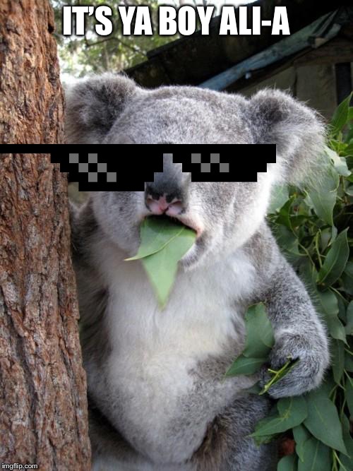 Surprised Koala Meme | IT’S YA BOY ALI-A | image tagged in memes,surprised koala | made w/ Imgflip meme maker