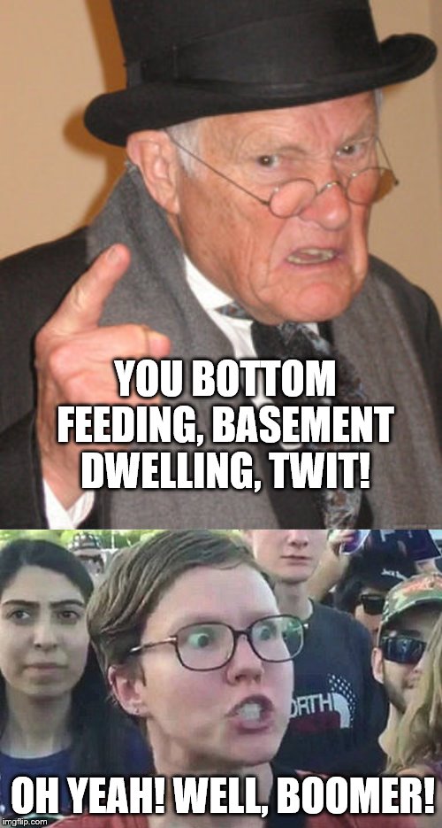Whiney little snowflake libtard | YOU BOTTOM FEEDING, BASEMENT DWELLING, TWIT! OH YEAH! WELL, BOOMER! | image tagged in memes,back in my day,triggered liberal | made w/ Imgflip meme maker