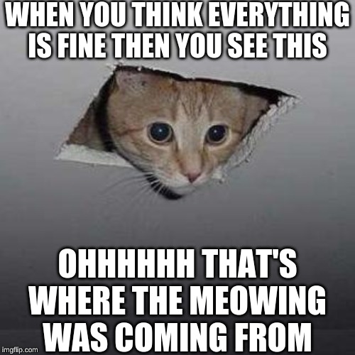 Ceiling Cat Meme | WHEN YOU THINK EVERYTHING IS FINE THEN YOU SEE THIS; OHHHHHH THAT'S WHERE THE MEOWING WAS COMING FROM | image tagged in memes,ceiling cat | made w/ Imgflip meme maker