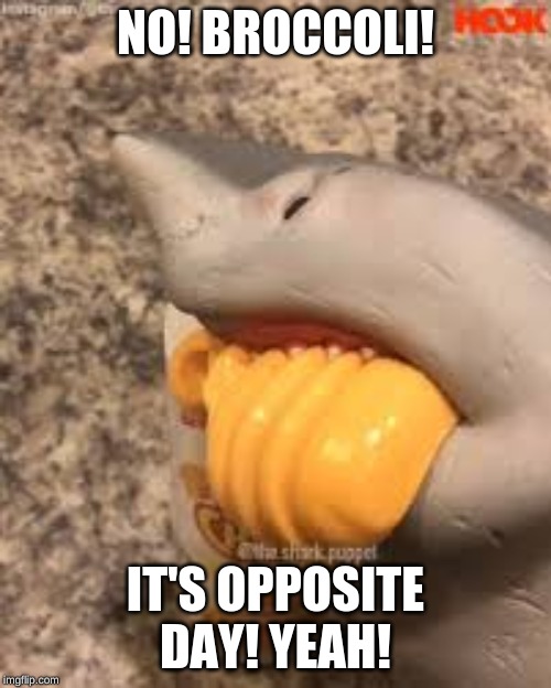 Shark Puppet Yeah Cheese |  NO! BROCCOLI! IT'S OPPOSITE DAY! YEAH! | image tagged in shark puppet yeah cheese | made w/ Imgflip meme maker