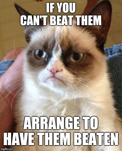 Grumpy Cat Meme | IF YOU CAN'T BEAT THEM; ARRANGE TO HAVE THEM BEATEN | image tagged in memes,grumpy cat | made w/ Imgflip meme maker