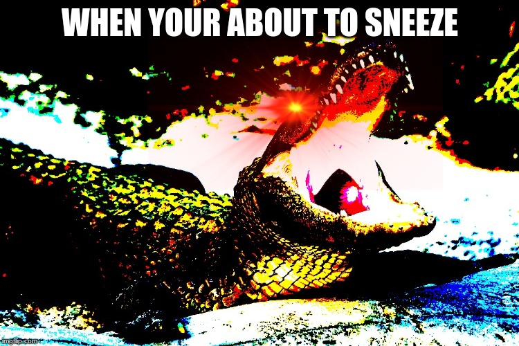 WHEN YOUR ABOUT TO SNEEZE | image tagged in funny,funny memes,alligator | made w/ Imgflip meme maker