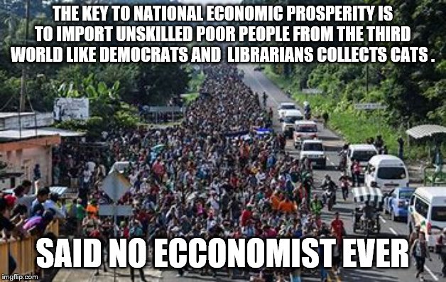 THE KEY TO NATIONAL ECONOMIC PROSPERITY IS TO IMPORT UNSKILLED POOR PEOPLE FROM THE THIRD WORLD LIKE DEMOCRATS AND  LIBRARIANS COLLECTS CATS . SAID NO ECCONOMIST EVER | image tagged in secure the border,border wall,democrats,elizabeth warren,bernie sanders,2020 elections | made w/ Imgflip meme maker