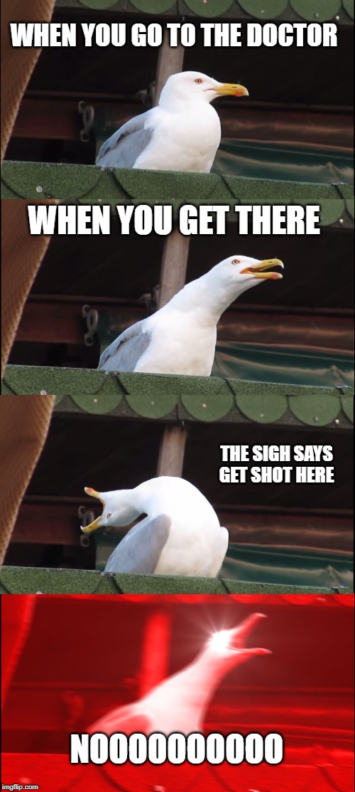 Inhaling Seagull | WHEN YOU GO TO THE DOCTOR; WHEN YOU GET THERE; THE SIGH SAYS GET SHOT HERE; NOOOOOOOOOO | image tagged in memes,inhaling seagull | made w/ Imgflip meme maker