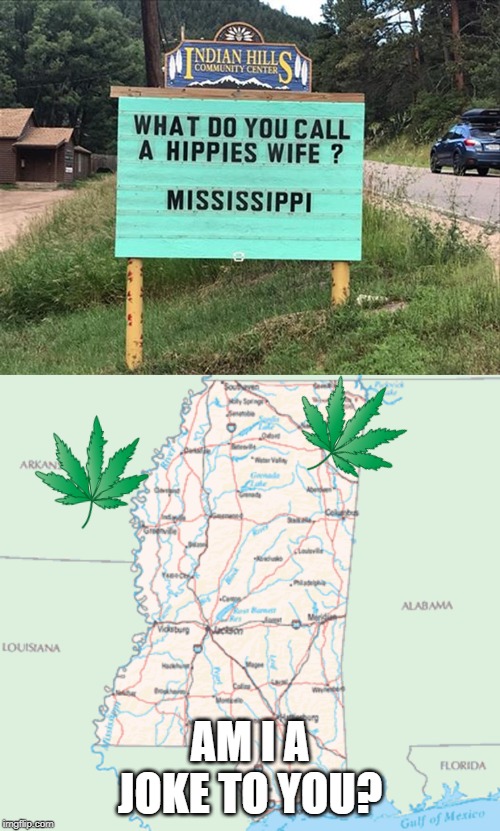 I dont care if your from mississippi | AM I A JOKE TO YOU? | image tagged in memes,funny,signs,funny signs,stupid signs | made w/ Imgflip meme maker