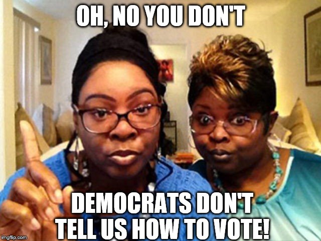 Blacks Against Democrat Oppression BADO | OH, NO YOU DON'T; DEMOCRATS DON'T TELL US HOW TO VOTE! | image tagged in diamond and silk,memes | made w/ Imgflip meme maker