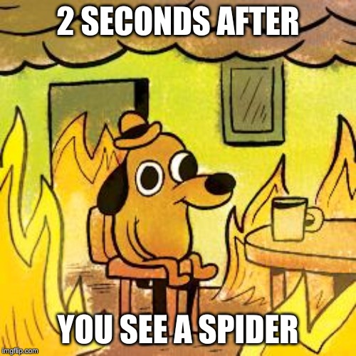 Dog in burning house | 2 SECONDS AFTER; YOU SEE A SPIDER | image tagged in dog in burning house | made w/ Imgflip meme maker