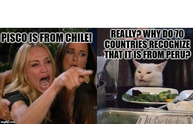 Woman Yelling At Cat Meme | PISCO IS FROM CHILE! REALLY? WHY DO 70 COUNTRIES RECOGNIZE THAT IT IS FROM PERU? | image tagged in memes,woman yelling at cat | made w/ Imgflip meme maker