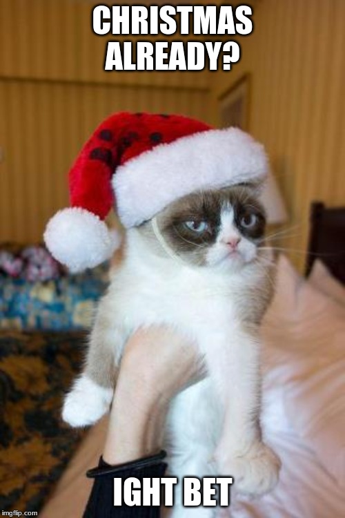 Grumpy Cat Christmas | CHRISTMAS ALREADY? IGHT BET | image tagged in memes,grumpy cat christmas,grumpy cat | made w/ Imgflip meme maker