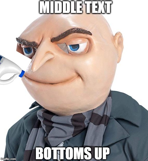 Gru has had enough | MIDDLE TEXT; BOTTOMS UP | image tagged in fun | made w/ Imgflip meme maker